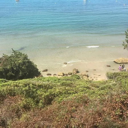 C'est La Vie Sanary-sur-Mer