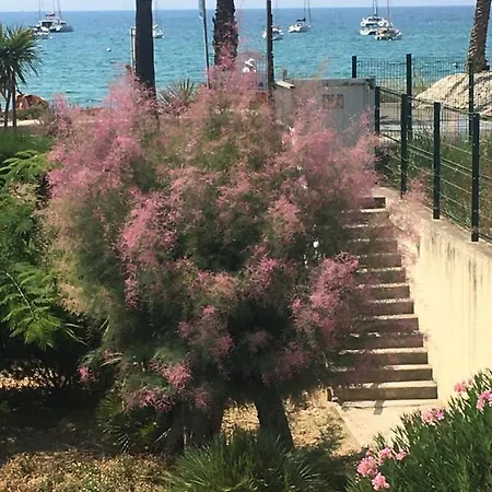 Apartmán C'est La Vie Sanary-sur-Mer